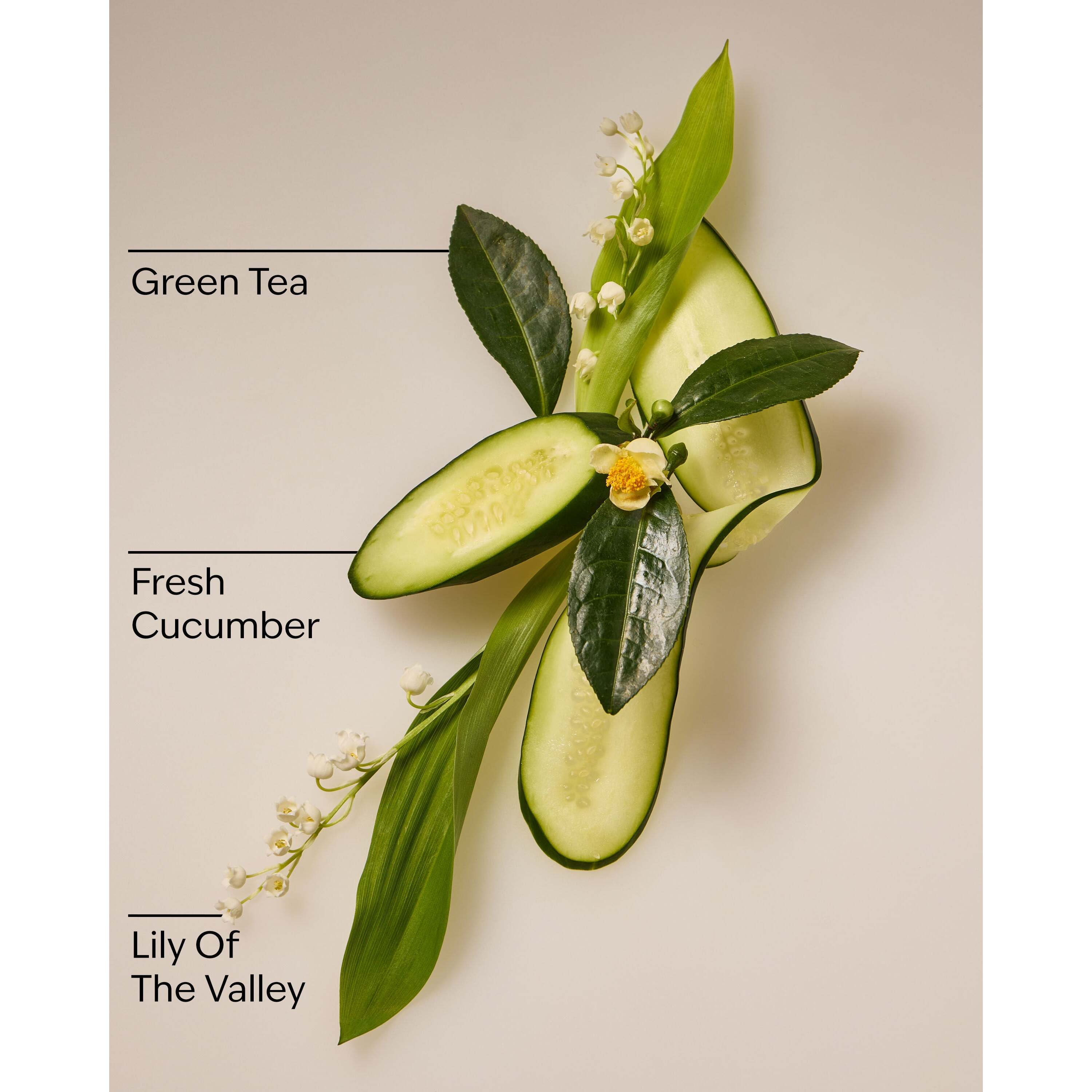 Cucumber & Lily Daily Moisturizing Hand Soap - Image 3