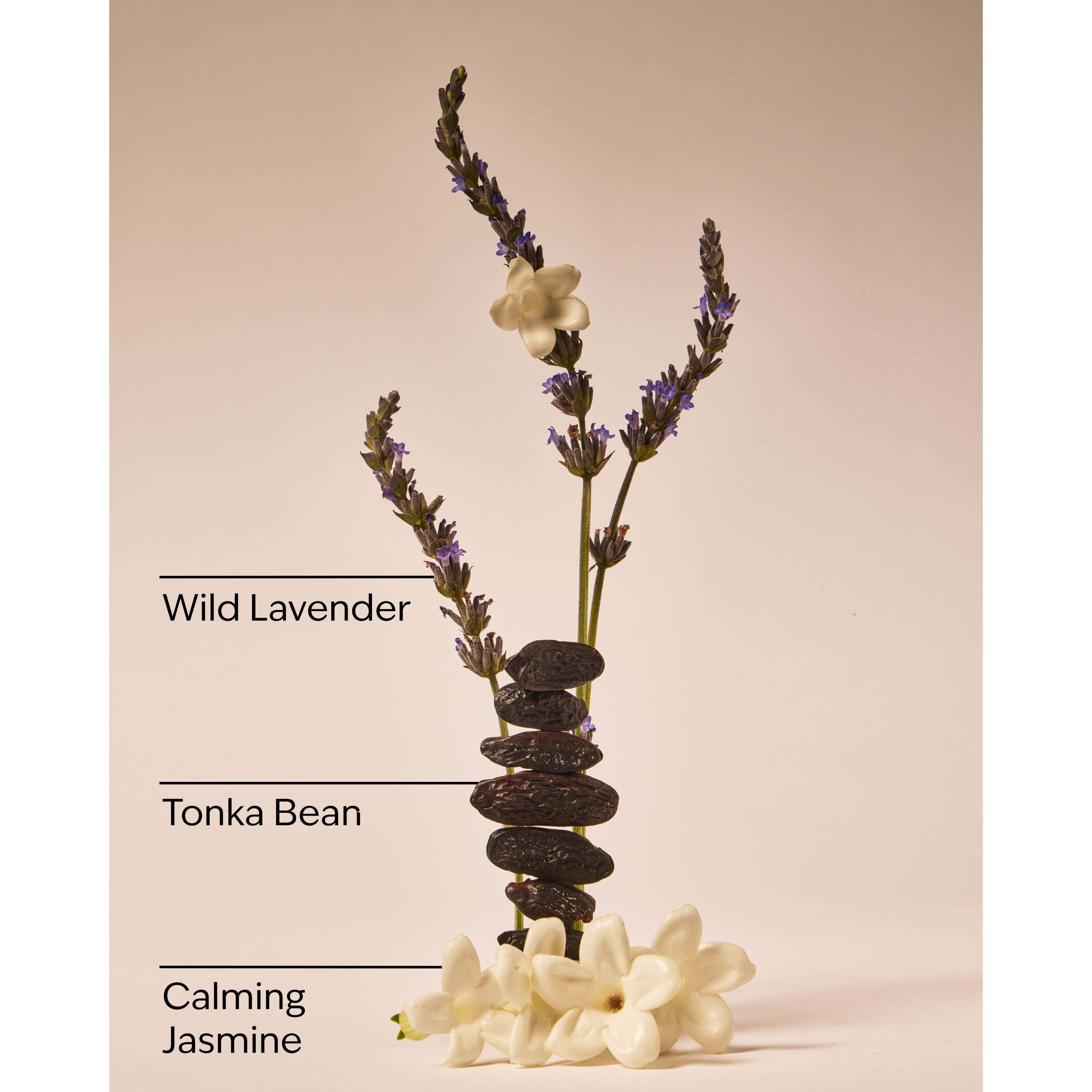 Sweet Lavender Daily Moisturizing Hand Soap - Image 3