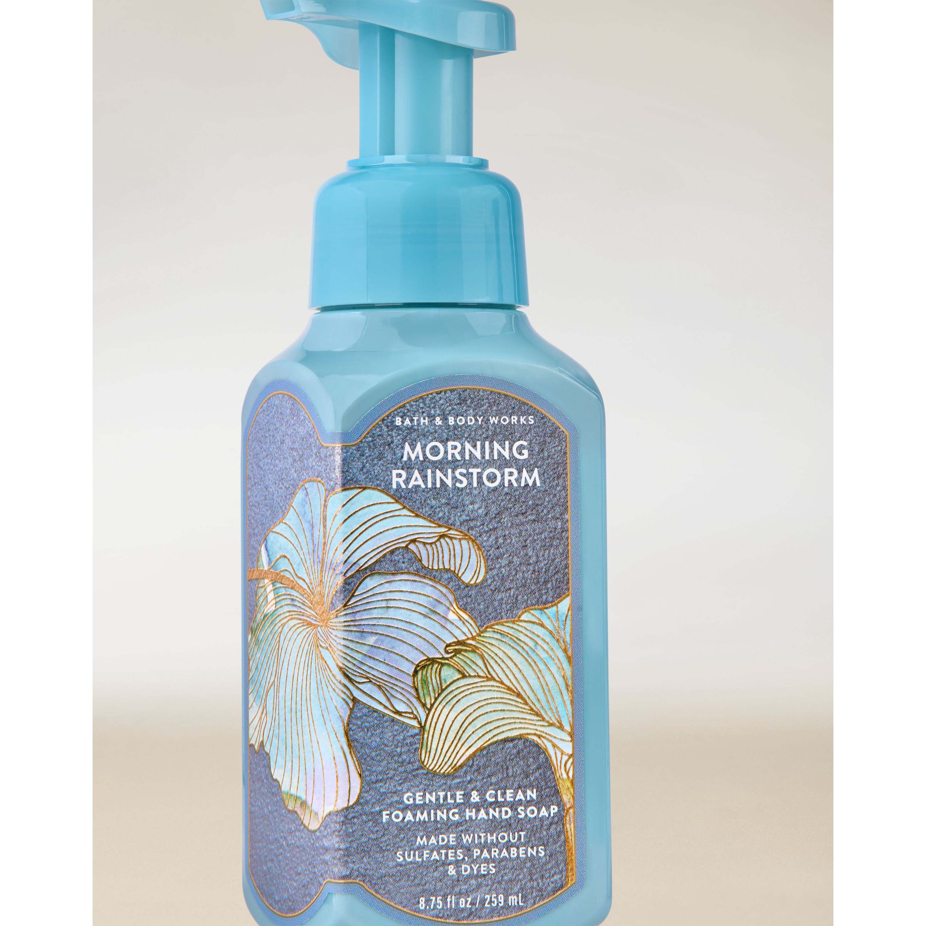 Morning Rainstorm Gentle & Clean Foaming Hand Soap - Image 2