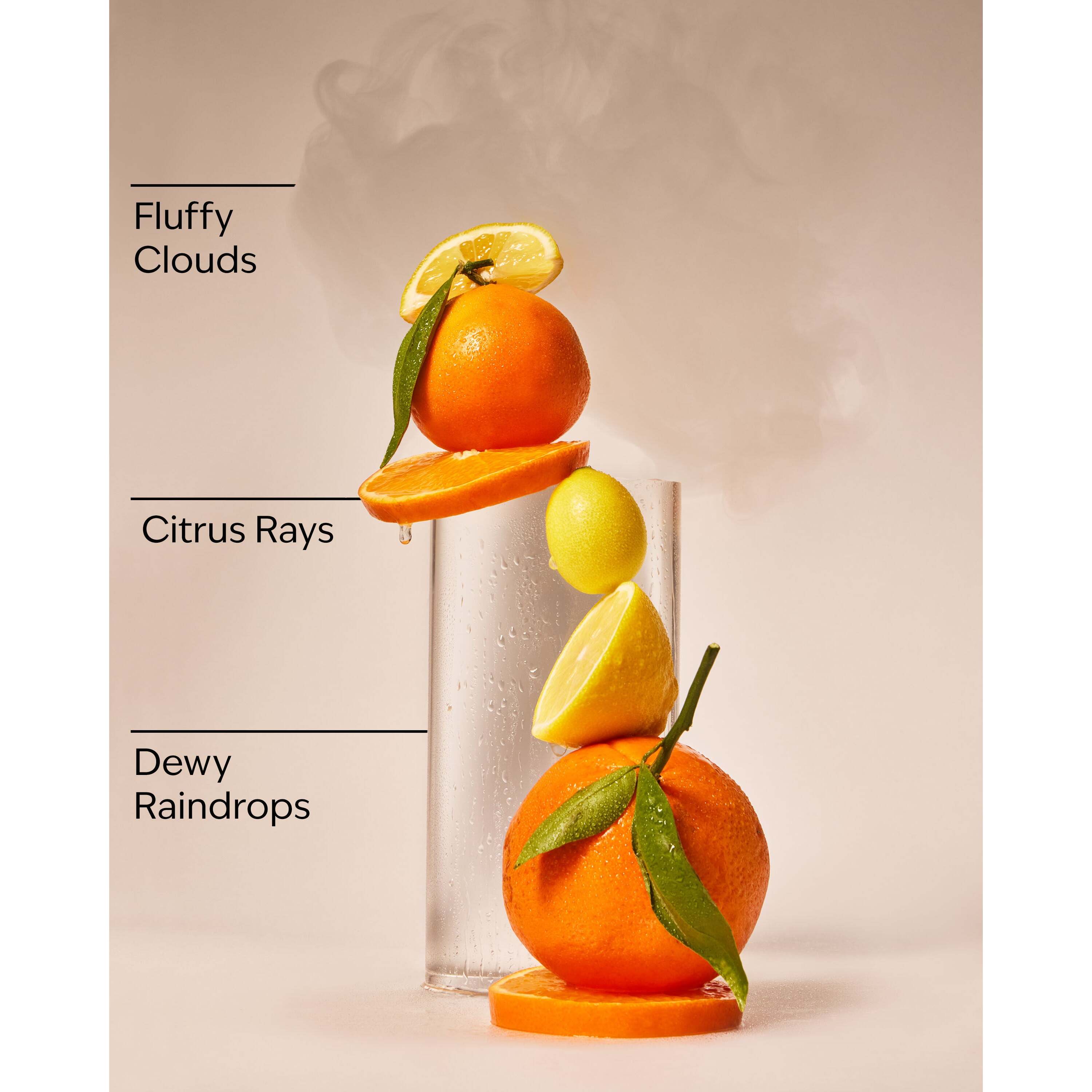 Morning Rainstorm Gentle & Clean Foaming Hand Soap - Image 3