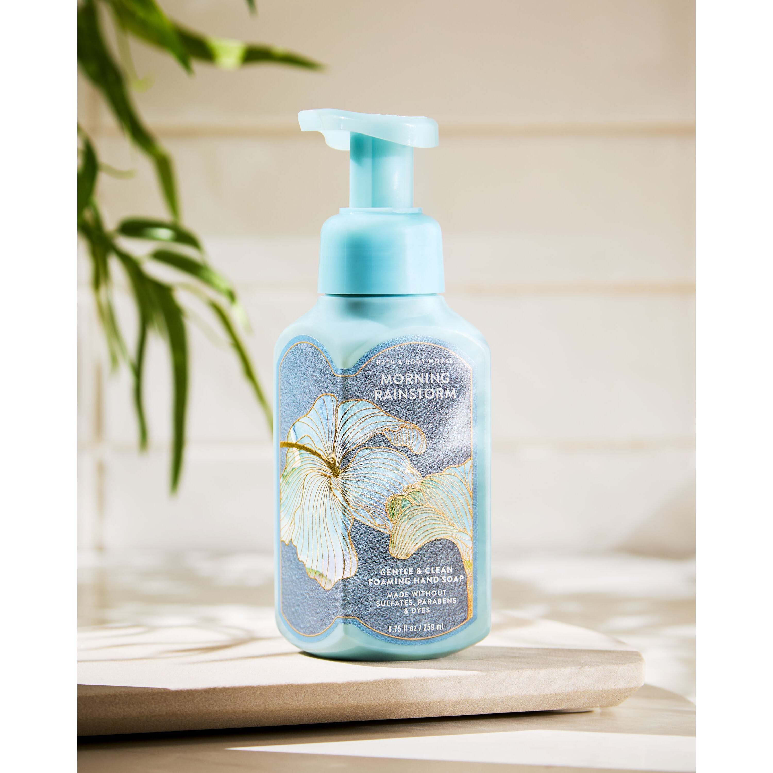 Morning Rainstorm Gentle & Clean Foaming Hand Soap - Image 7