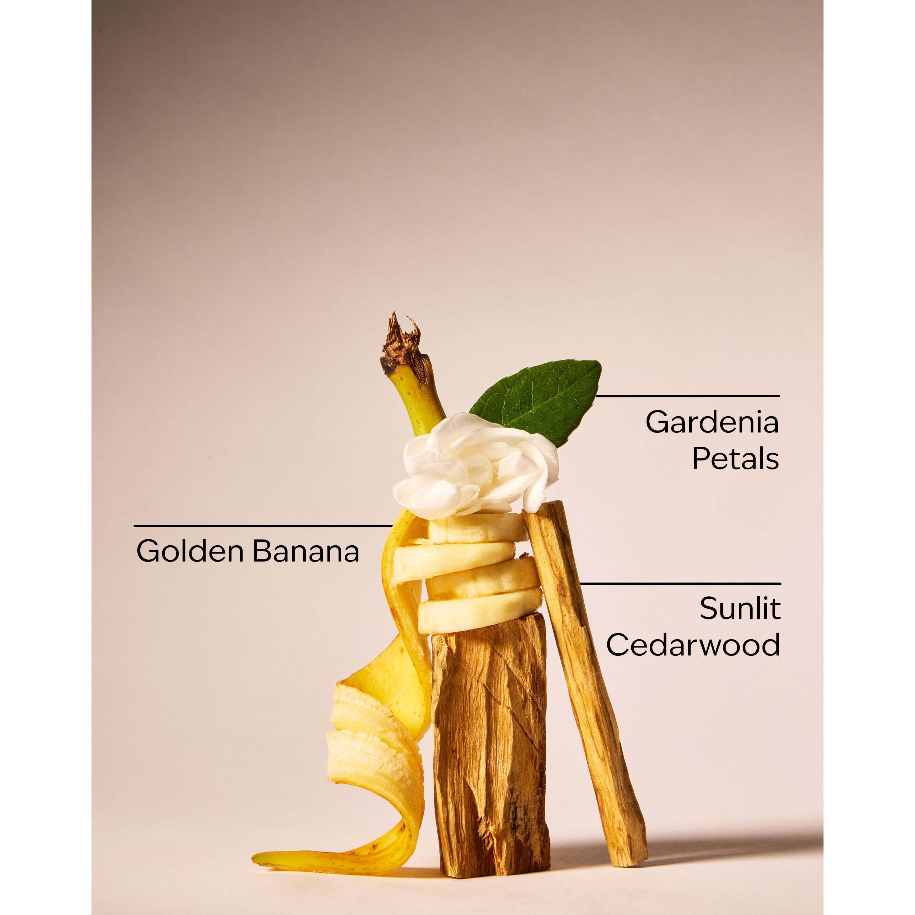 Dreaming Of Rio Fine Fragrance Mist - Image 3