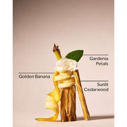 Mango Papaya Paradise Pocketbac Hand Sanitizer - Image 34