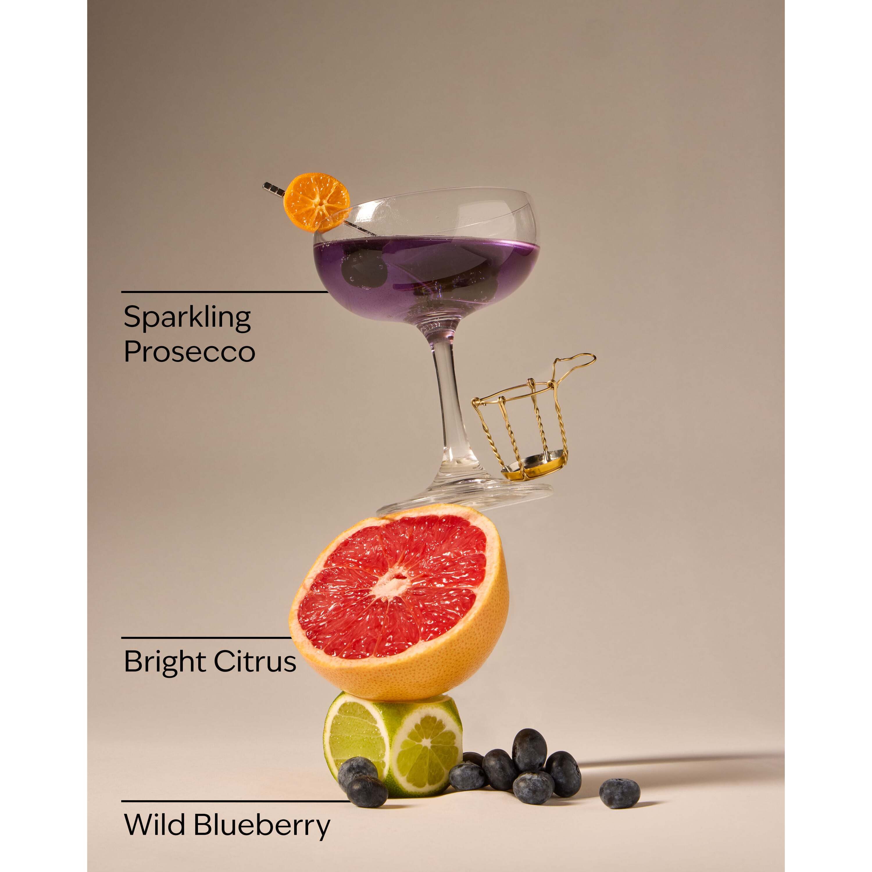 Blueberry Bellini Gentle & Clean Foaming Hand Soap - Image 3