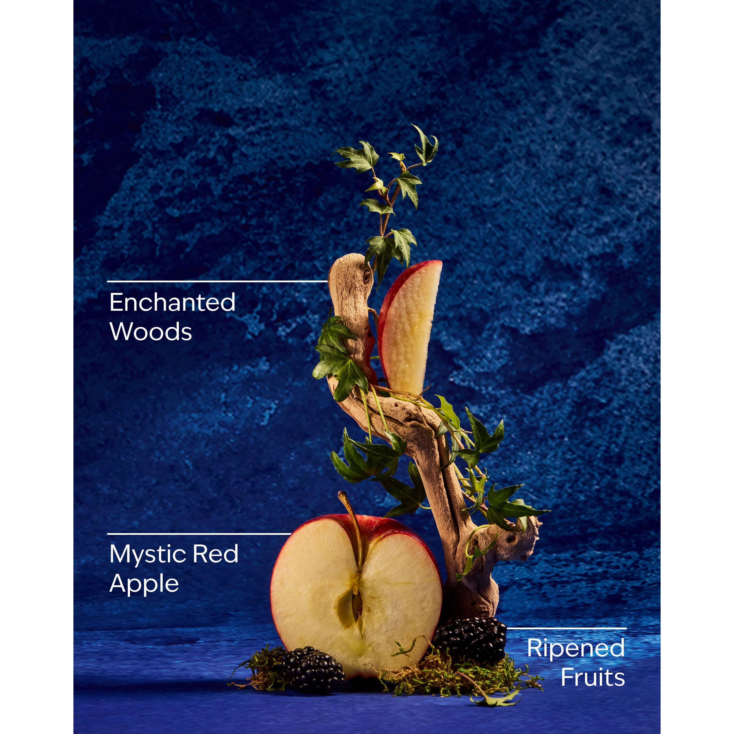 Snow White Wallflowers Fragrance Refill - Image 3