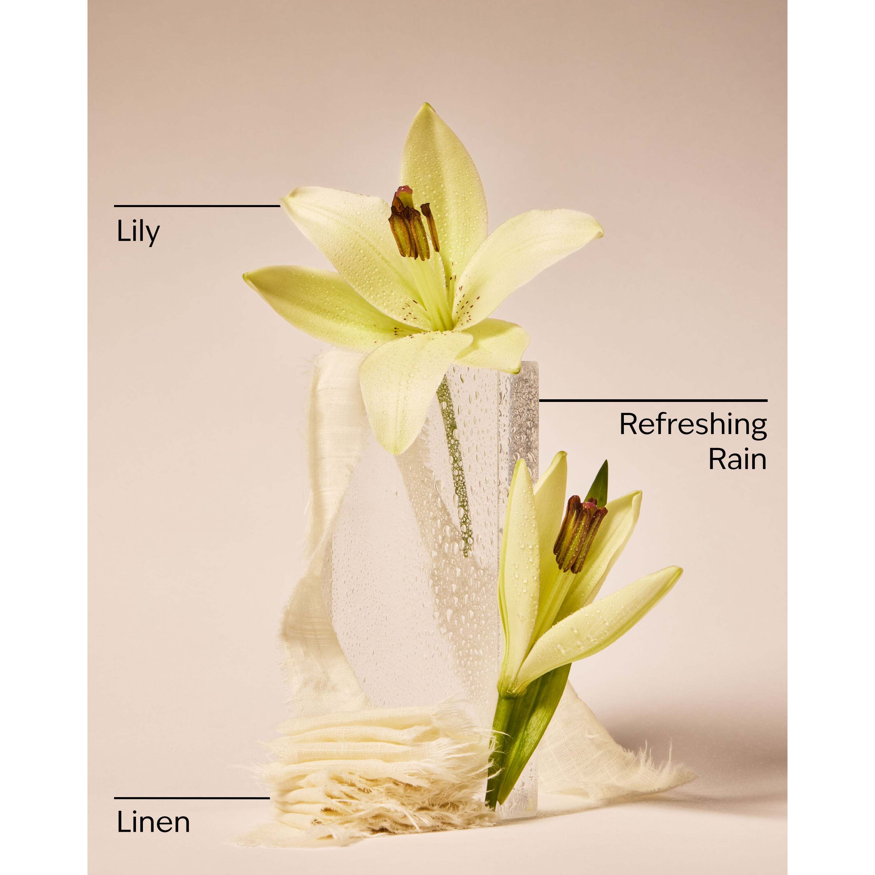 Fresh Rainfall & Linen Wallflowers Refills 2-Pack - Image 3