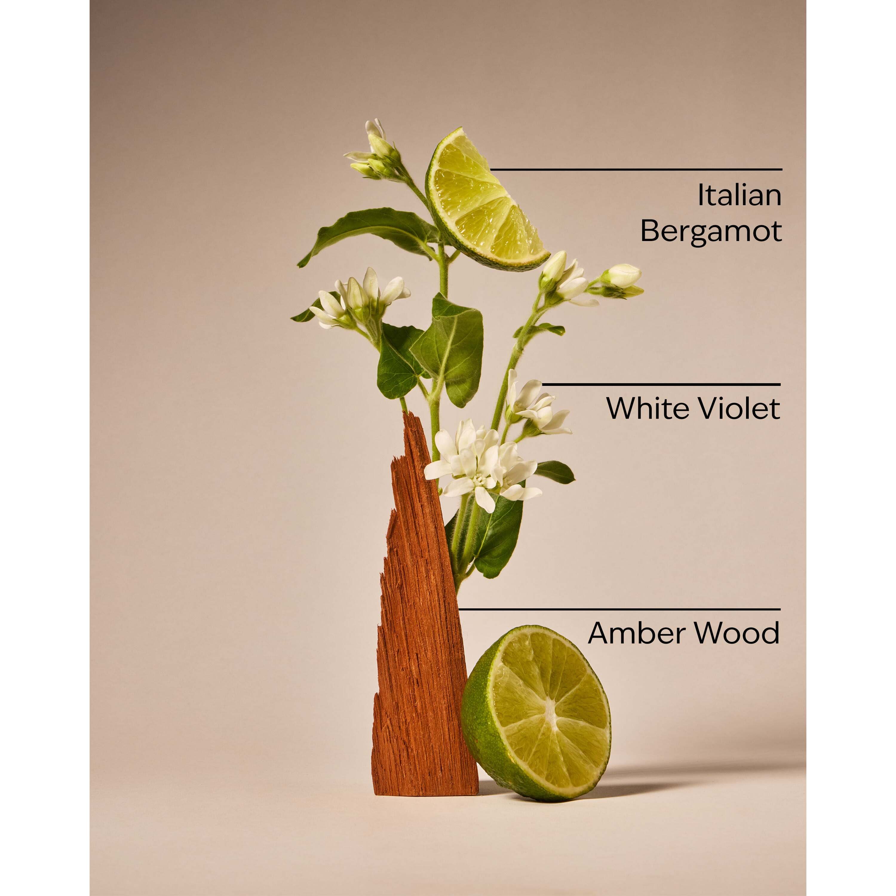 Sunwashed Santal 3-Wick Candle - Image 3