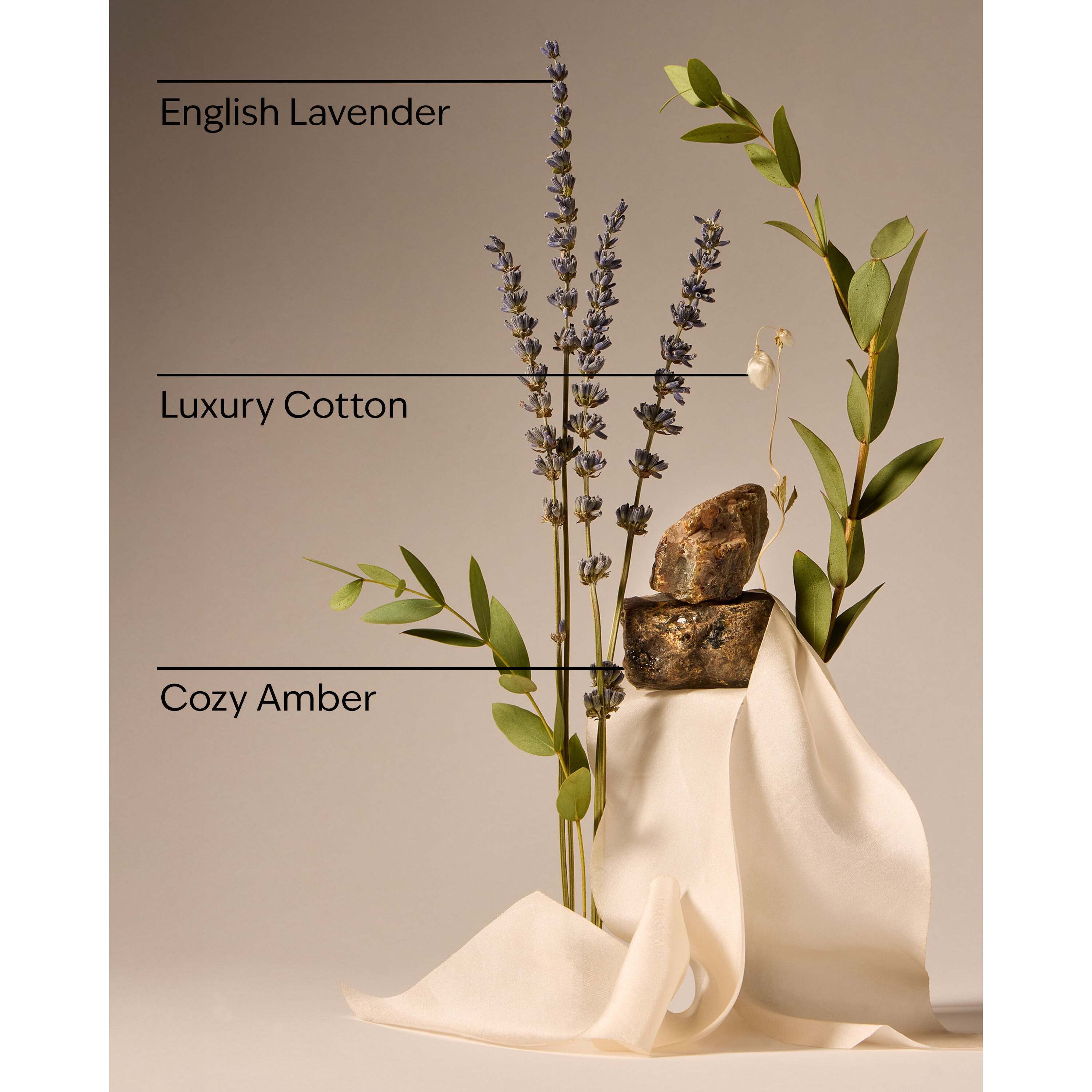 Clean House Vibes - Luxe Cotton Concentrated Room Spray - Image 3