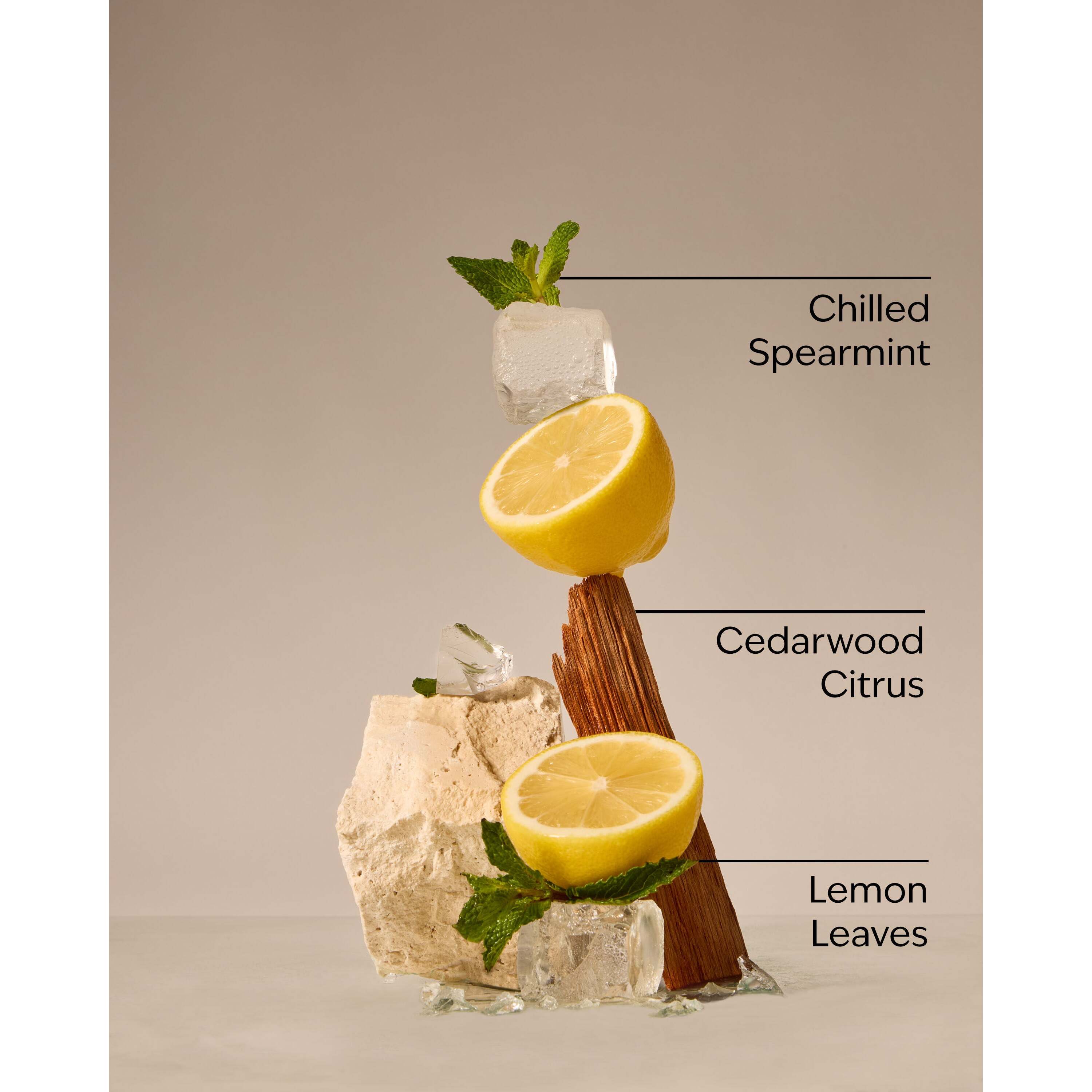 Fresh Amalfi Lemon 3-Wick Candle - Image 3