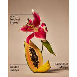 Mango Papaya Paradise Pocketbac Hand Sanitizer - Image 9