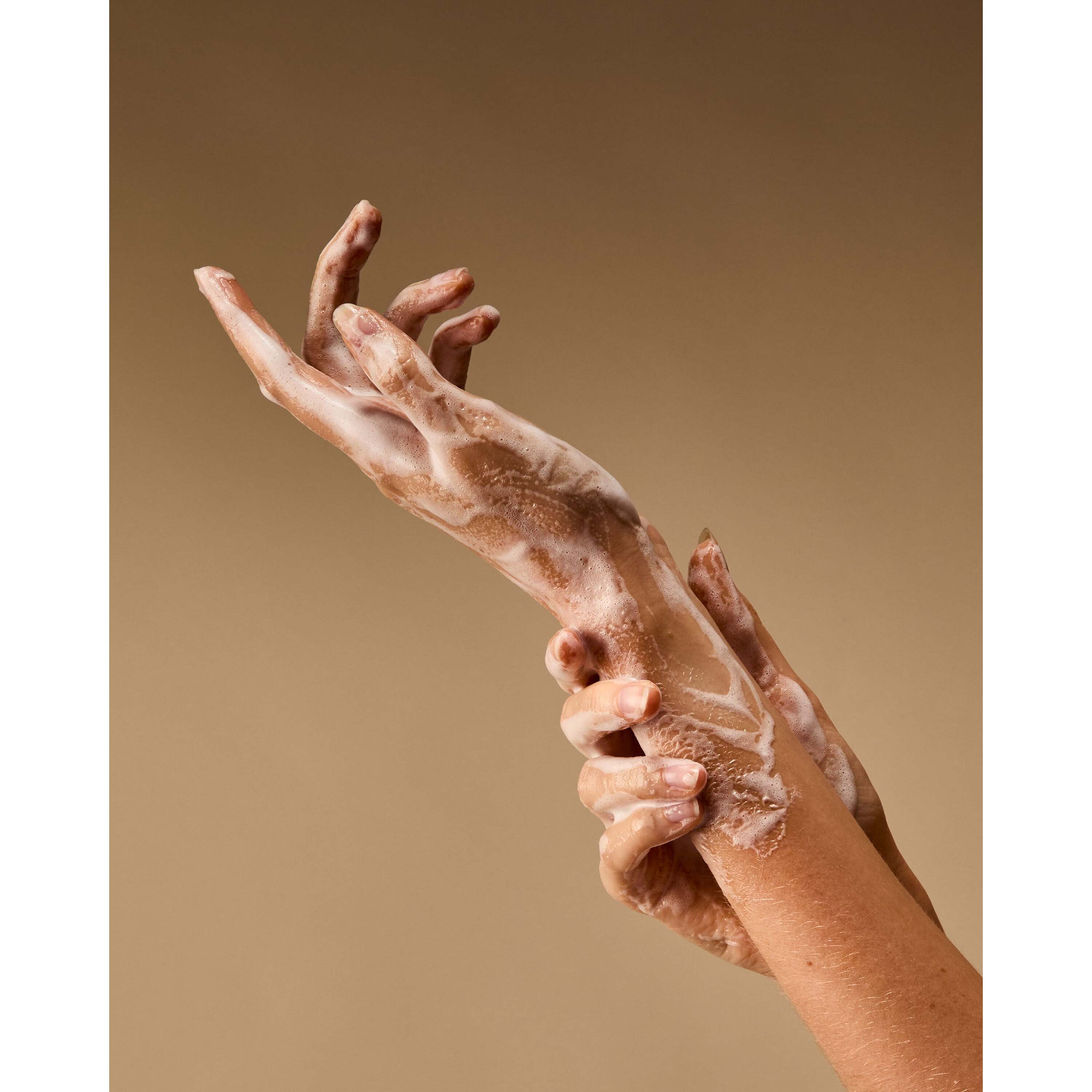 Viva Brazil Gentle & Clean Foaming Hand Soap - Image 6