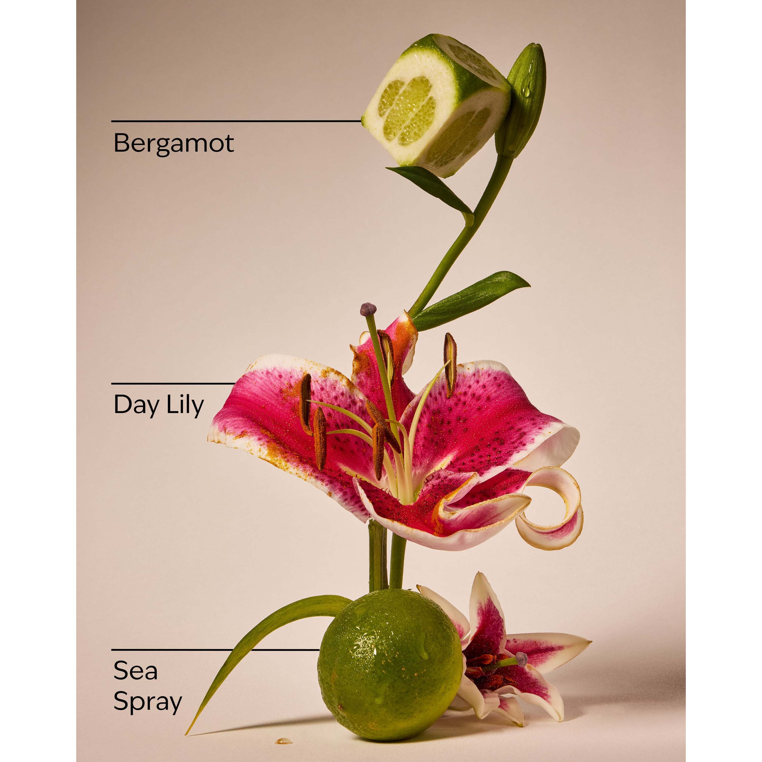 Turquoise Waters Gentle & Clean Foaming Hand Soap - Image 3