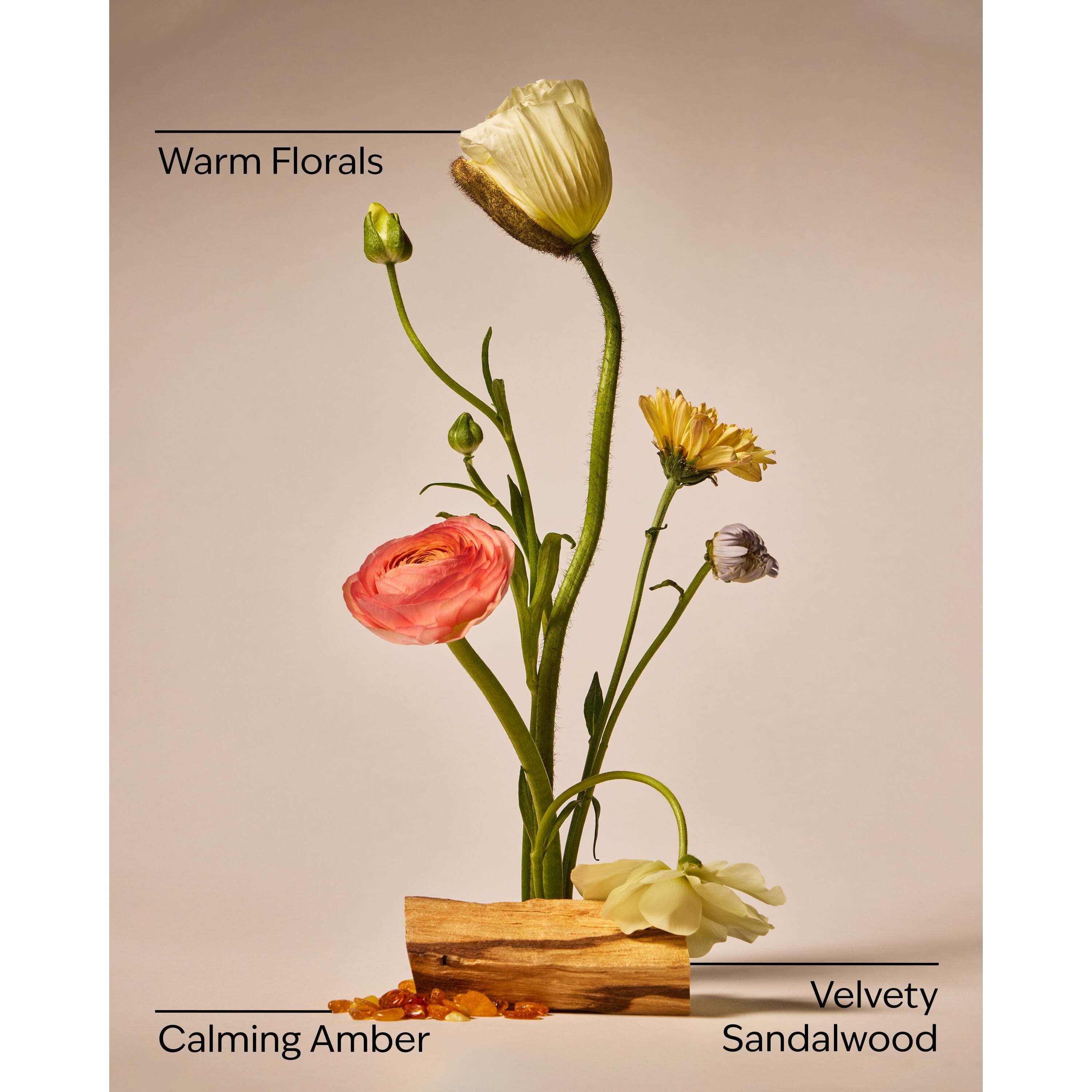 Warm Summer Evening Single Wick Candle - Image 3