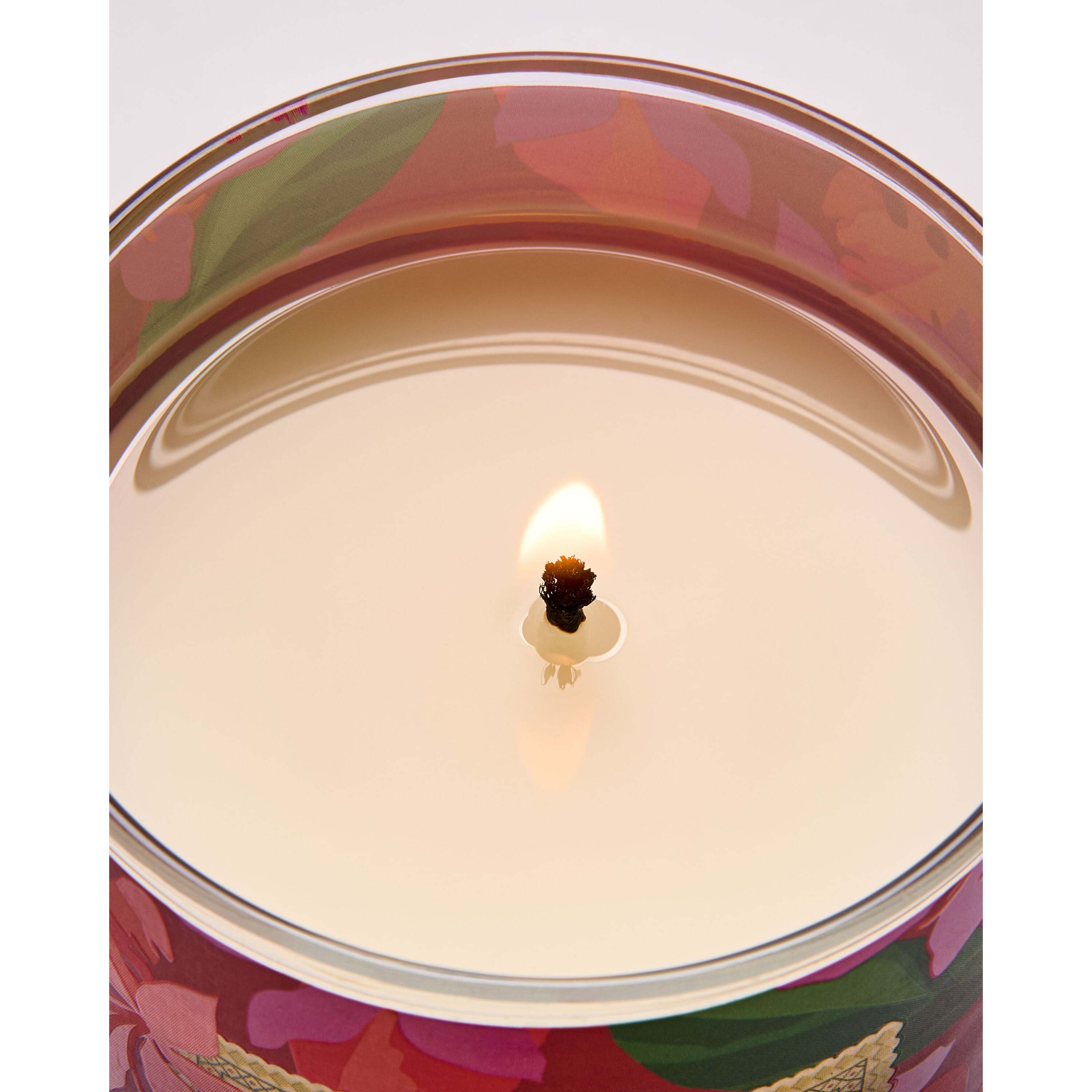 Viva Brazil Single Wick Candle - Image 5