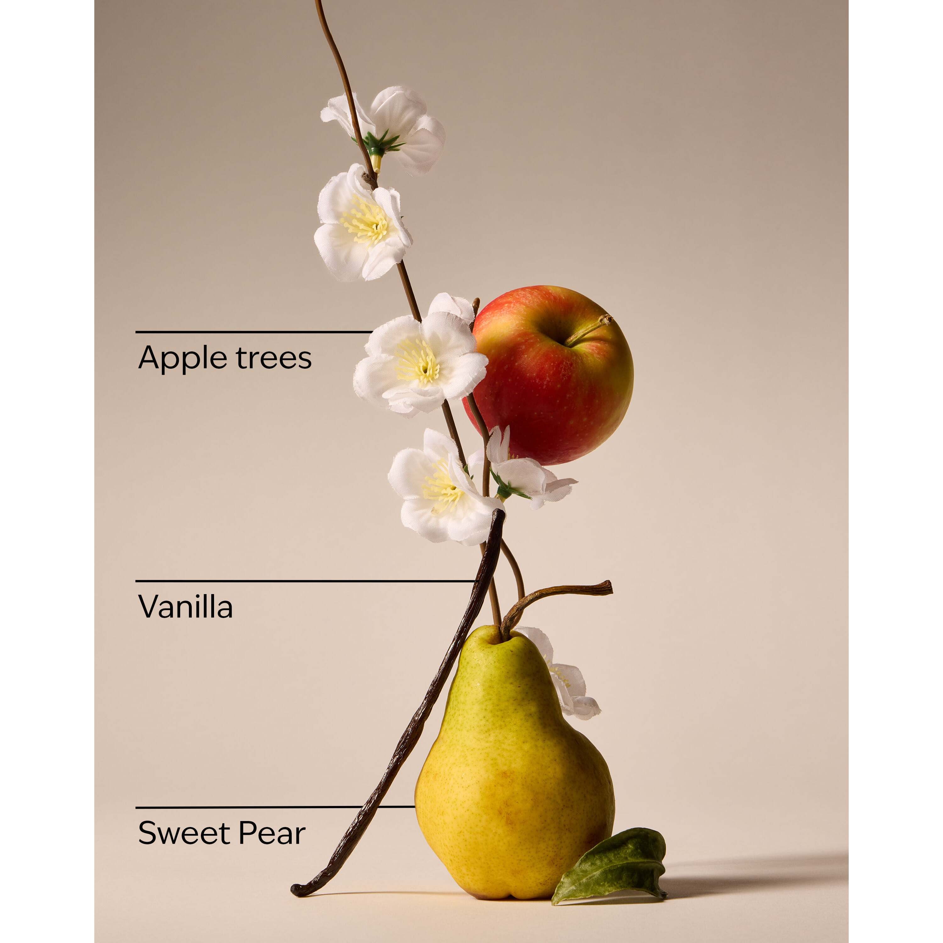 Spring Apple Wallflowers Fragrance Refill - Image 3