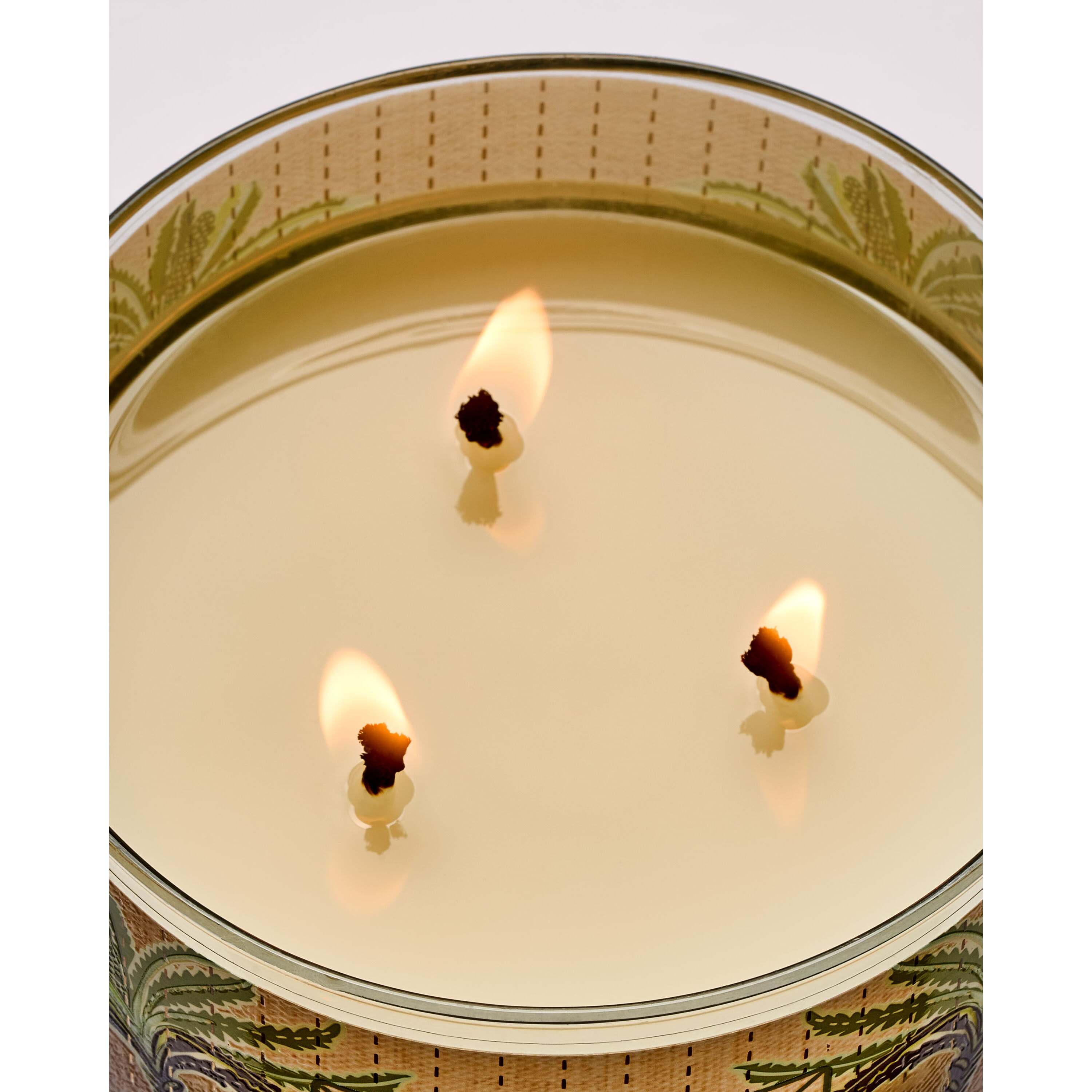 Waikiki Beach Coconut 3-Wick Candle - Image 5
