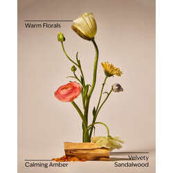 Mango Papaya Paradise Pocketbac Hand Sanitizer - Image 15