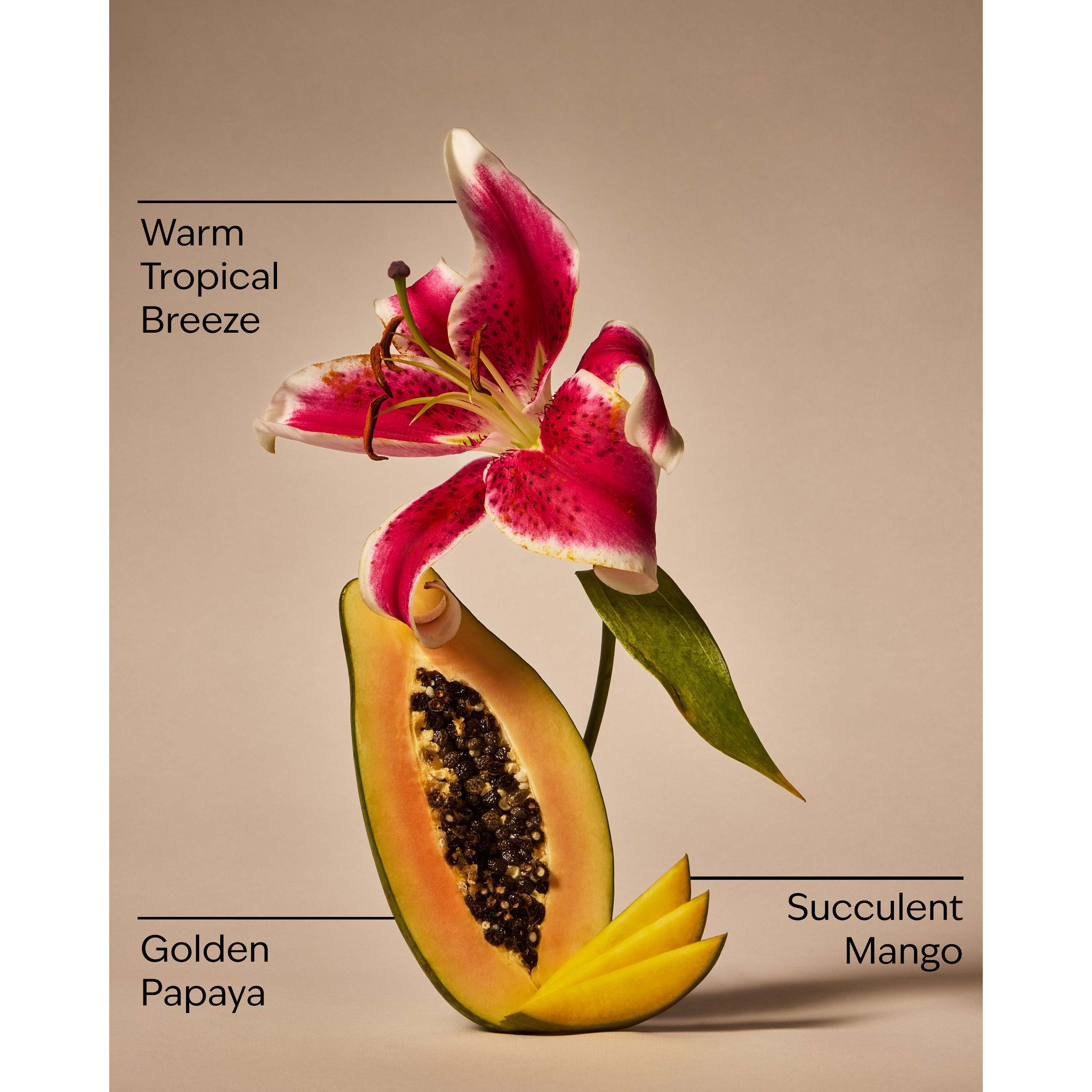 Mango Papaya Paradise Pocketbac Hand Sanitizer - Image 3