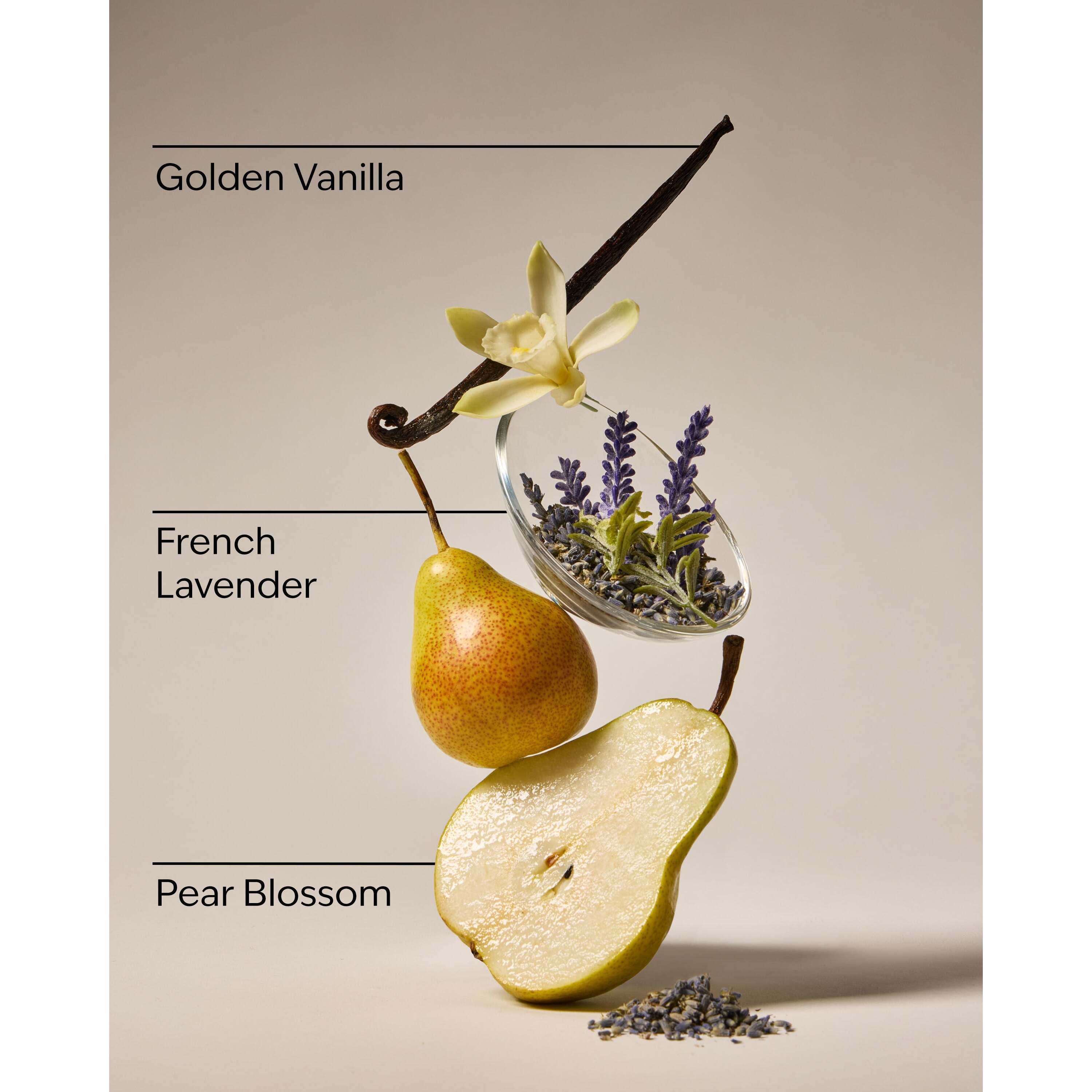 Moonlit Goddess Gentle & Clean Foaming Hand Soap - Image 3