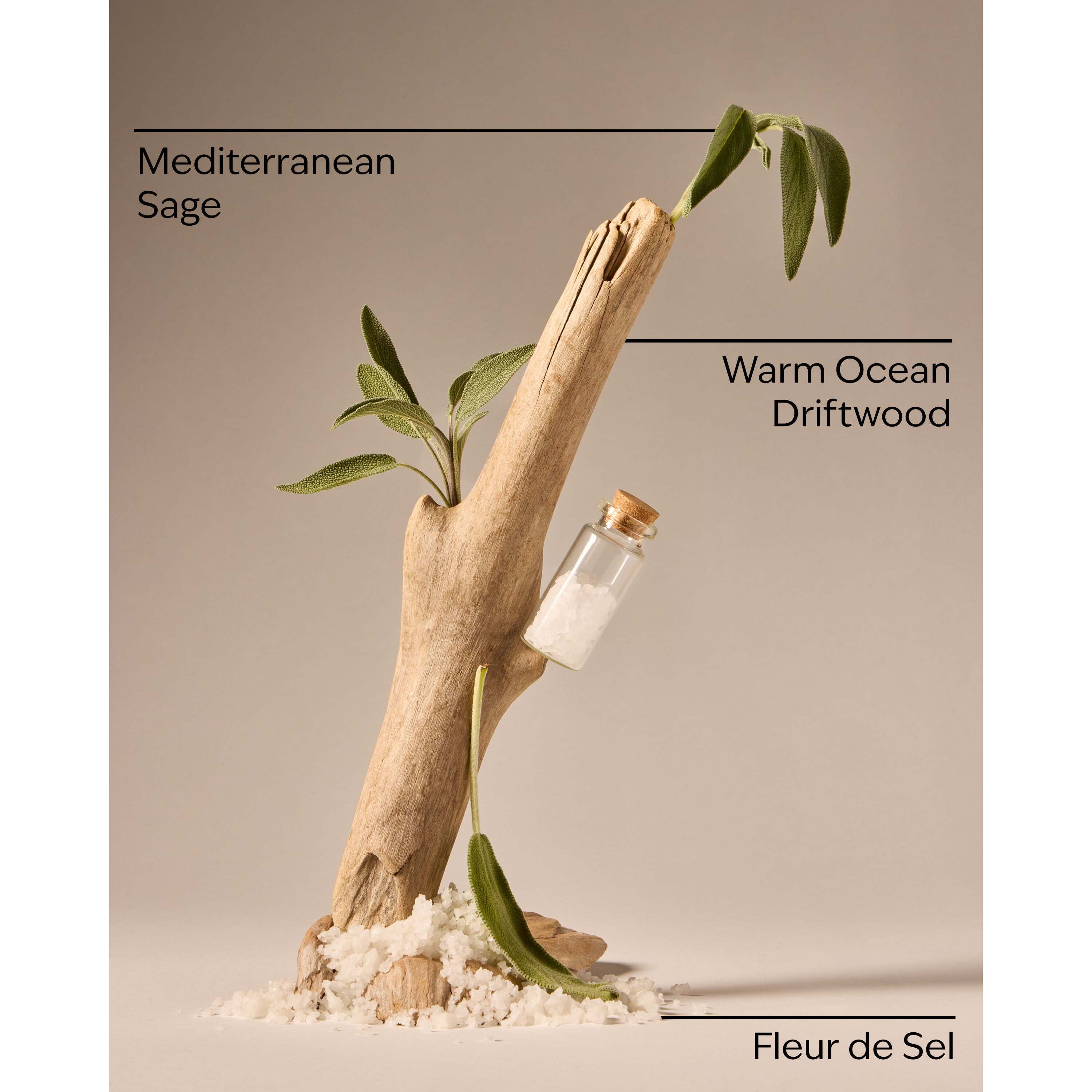 Sea Salt & Driftwood Concentrated Room Spray - Image 3