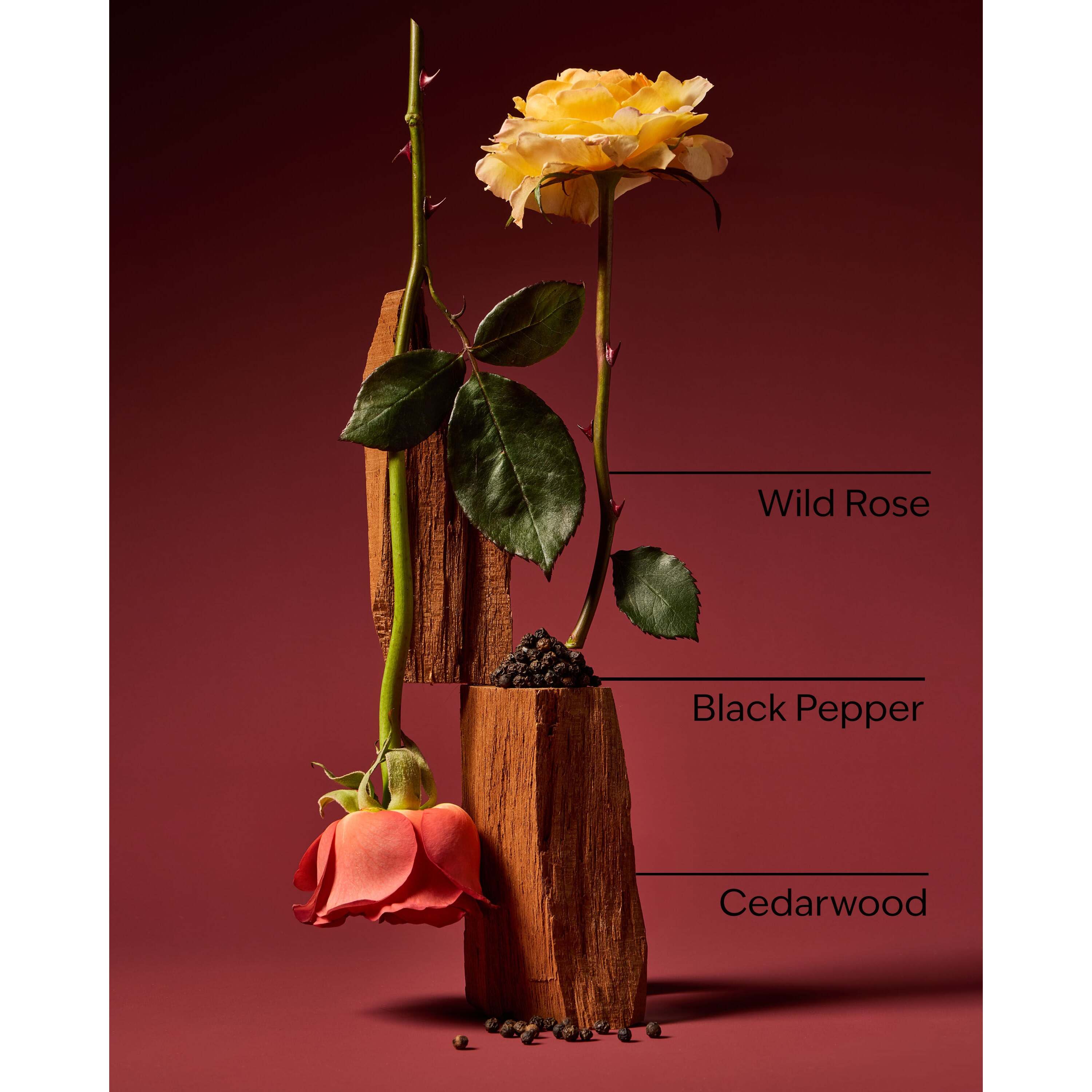 Nocturnal Rose Concentrated Room Spray - Image 3