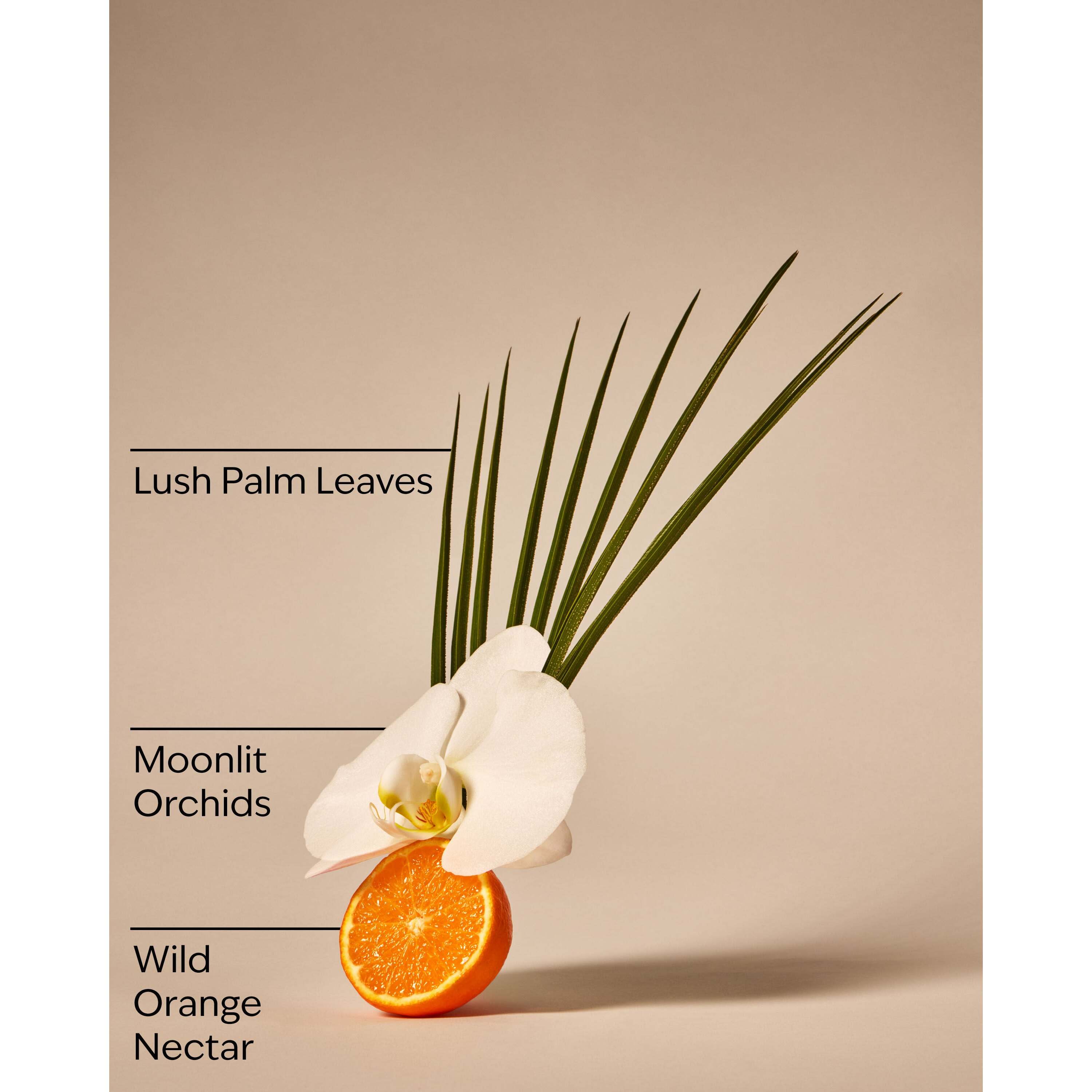 Canopy Dreams Wallflowers Fragrance Refill - Image 3